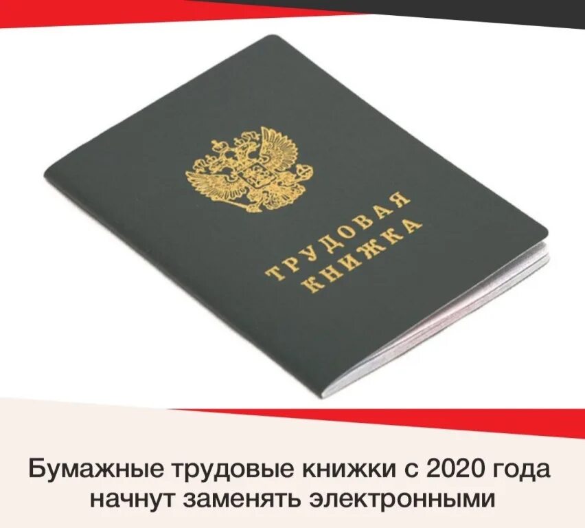 Трудовая 2022. Трудовая книжка 2022. Трудовое лето. Трудовая книжка. Трудовая 2022.
