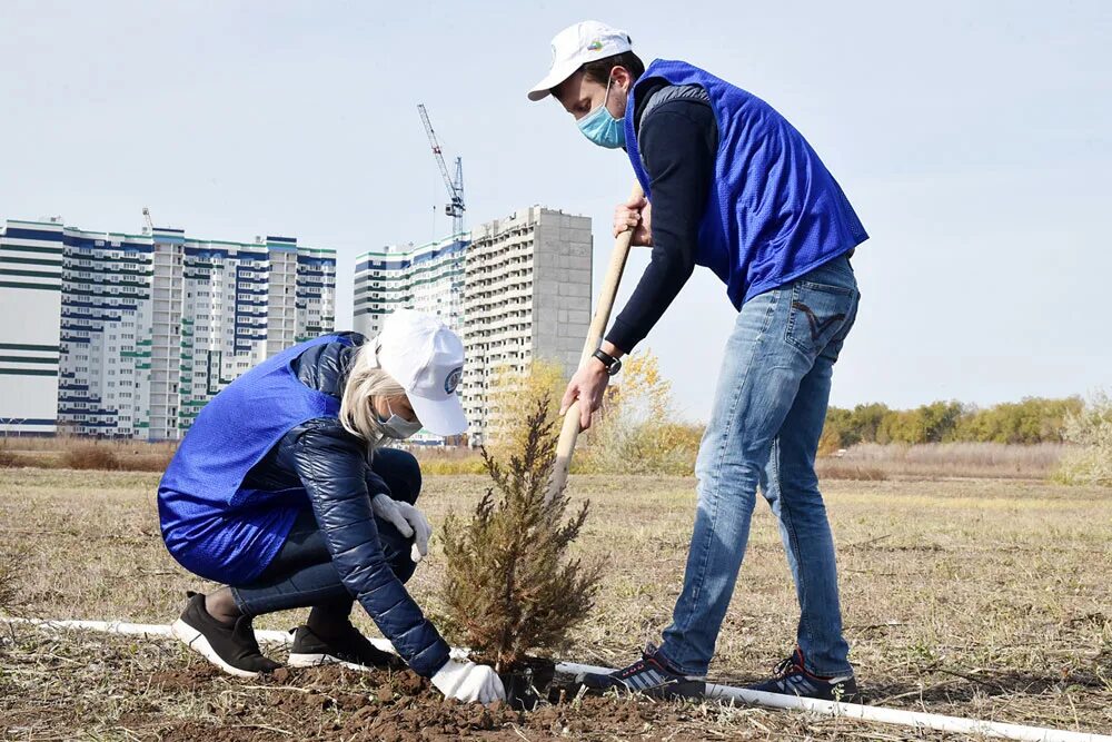 новиков валерий александрович ботанический сад. посадили руководителя проекта. работа в саду в оренбурге. работа в саду в оренбурге. преподаватель огау ботсад оренбург.