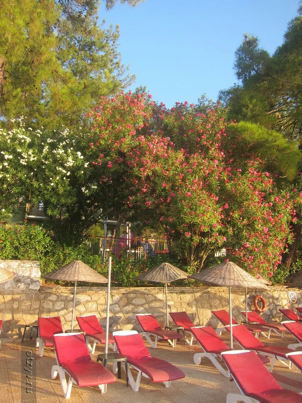 Мармарис парк отель 5. Marmaris park hotel 5 турция мармарис пляж. Marmaris park hotel 5 турция мармарис пляж. Мармарис парк турция отзывы. Мармарис парк турция отзывы.
