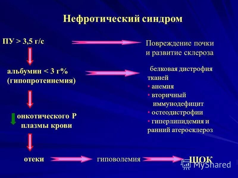 причиной гипопротеинемии при нефротическом синдроме. нефротический синдром гипопротеинемия. нефротический синдром гипопротеинемия. вторичный нефротический синдром развивается при. нефротический синдром гиперлипидемия.