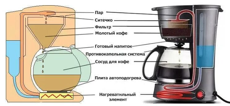 Принцип работы капельной кофеварки схема. Принцип работы кофеварки капельного типа схема. Принцип действия кофеварки капельного типа. Капельная кофеварка схема принципиальная. Какая кофеварка лучше гейзерная или капельная