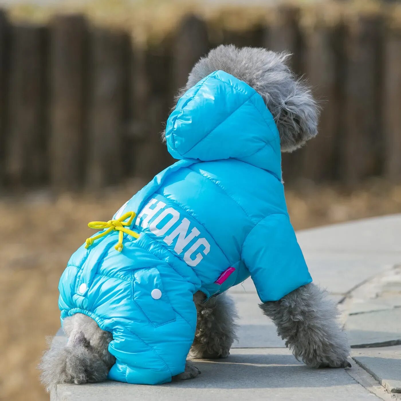 Комбез для собак. Комбезы для собак зимние. Костюмы для собак зимние. Зимний костюмчик для собаки. Комбез на собак зимний.