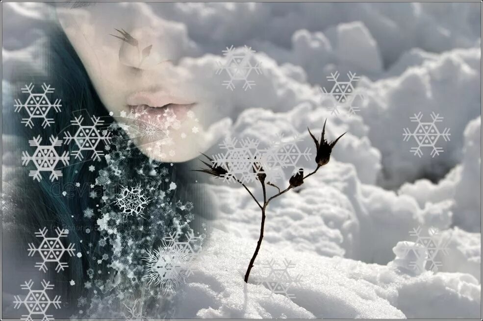Вы как зимнее воспоминание. Снежинки на ветру. Плачет небо снегом. Снежинка любовь. Снег на моей голове.