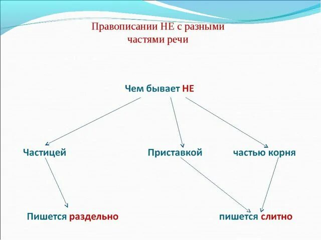 Правописание не с разными частями. Не с различными частями речи схема. схема написания не с разными частями речи. правописание не с различными частями речи схема. тема не с разными частями речи.