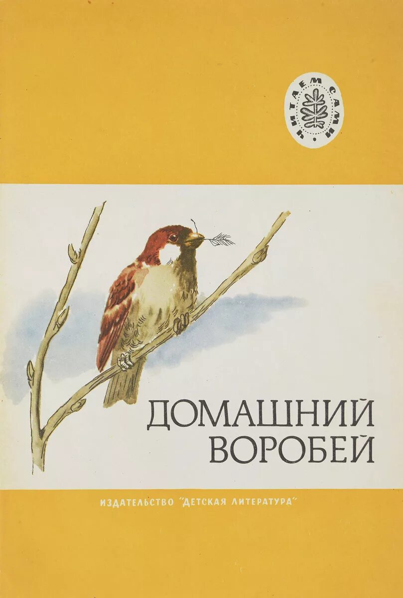 Произведения про воробья. Книга домашний Воробей. Детские книги о воробьях. Книги про Воробьев. Книжки о Воробье для детей.