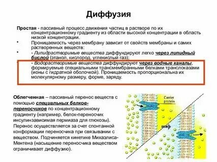 Рестрикция диффузии что это. Рестрикция диффузии что это