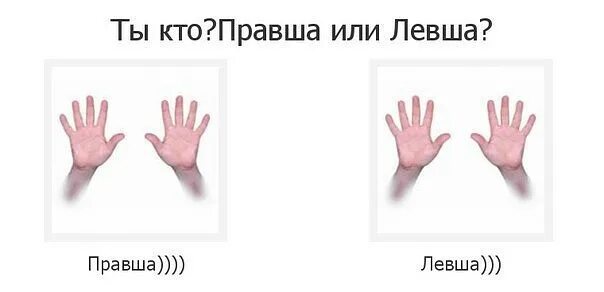 Тест определения левши. Левша или правша. ты левша или правша. тест левша или правша. как определить правшу и левшу.