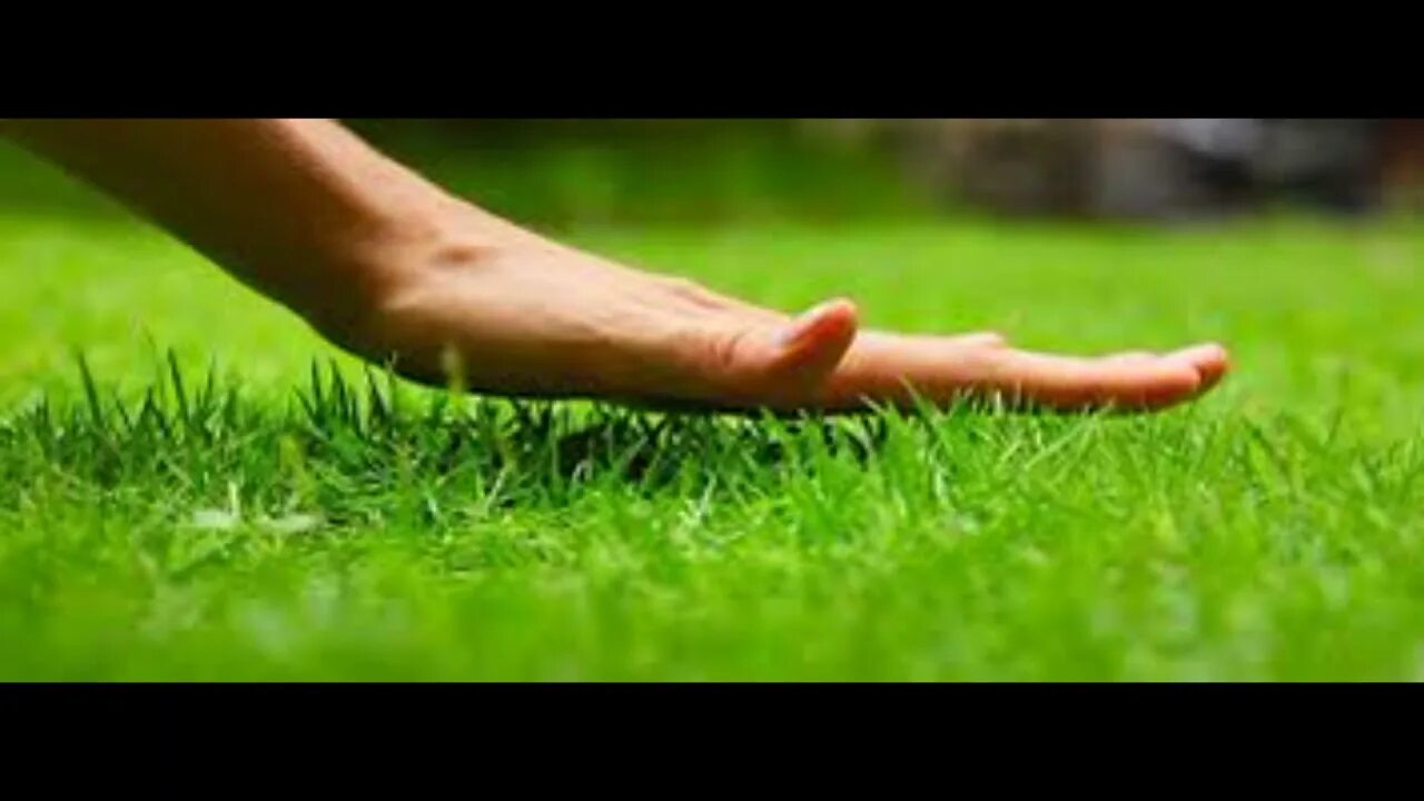 Go touch grass. Touch grass мем. I touch the grass. Touch grass. Go touch grass.