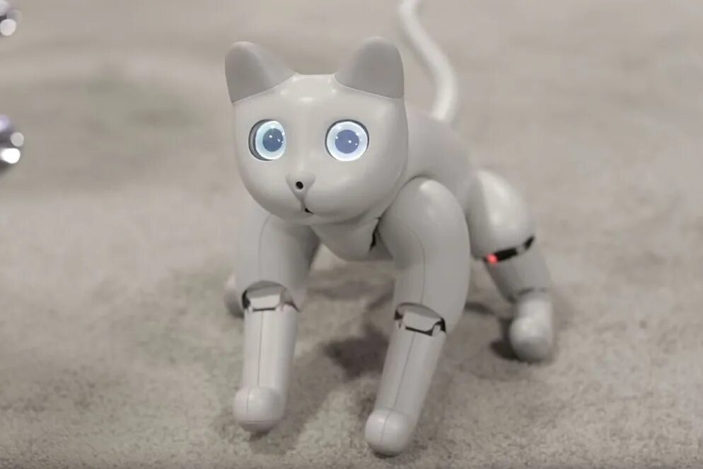 Робо кот. Marscat робот-кошка. японский робот кот. котейка и робот. роботы кошки похожие на настоящих.