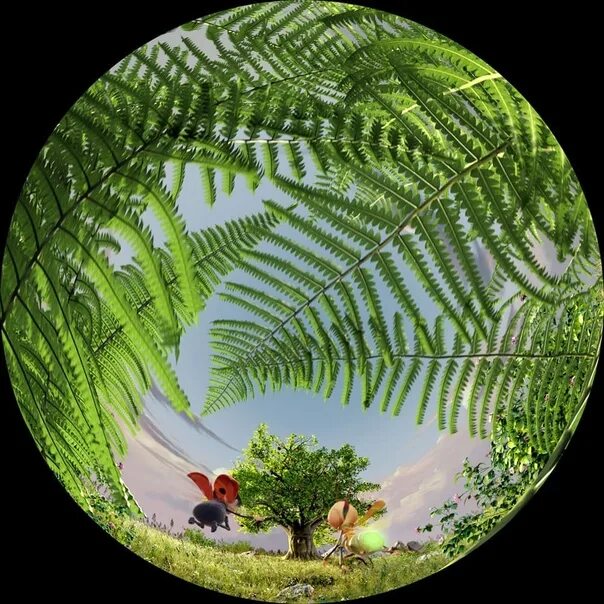 Тайны деревьев афиша. Тайны деревьев планетарий афиша. Тайны деревьев планетарий. Тайны деревьев. Тайны деревьев планетарий.