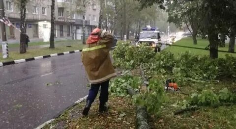 Погода в обнинске в ноябре