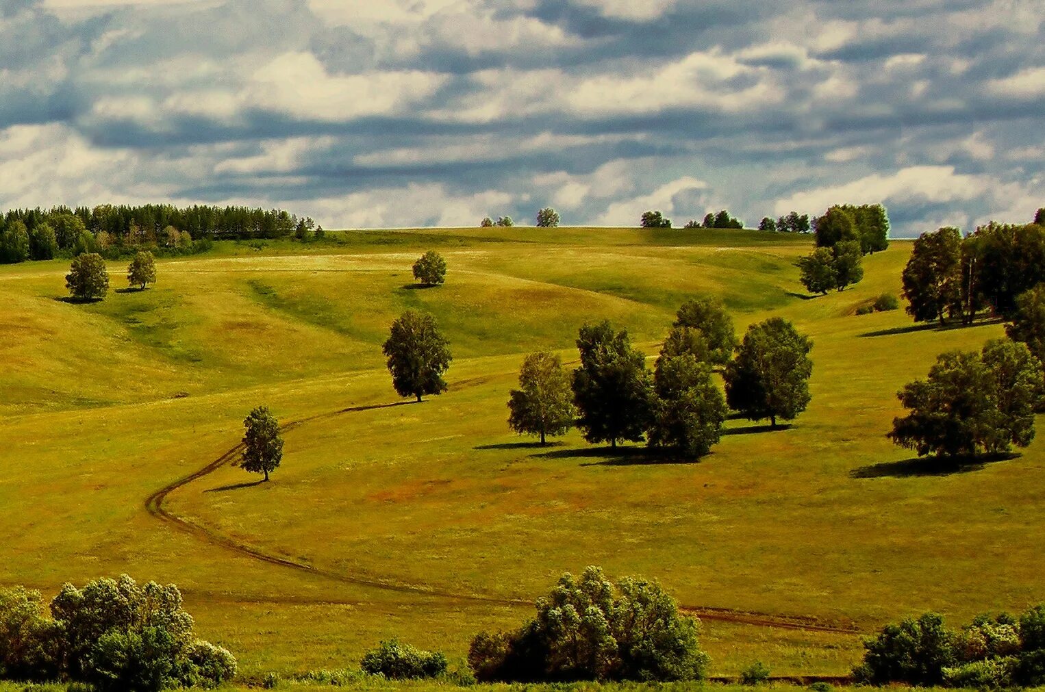 Оренбуржье фото. Пейзажи Оренбургского края Красногвардейский район. Оренбург равнины. Пейзажи Оренбургской области. Оренбург природа.