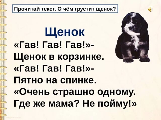 Текст щенок. Песни про собак тексты песен. Песня щенок текст. Песенка про котенка и щенка. Текст щенок.