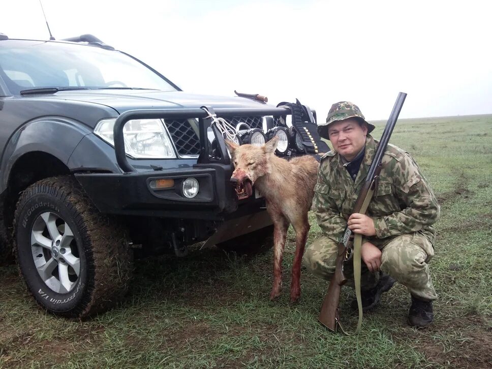 Гусь калмыкия. Гусь калмыкия. Охота на волков в калмыкии. Охота в калмыкии на гуся. Гусь калмыкия.