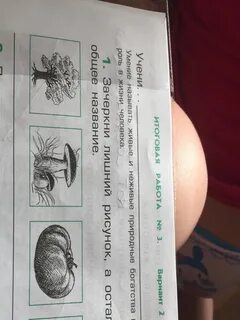 Составь слова и зачеркни лишнее
