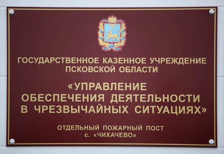 Казенное учреждение организация деятельности. Государственное казенное учреждение. Гомударственноеказенноуучреждение. Казенное учреждение это. ГКУ Псковской области.