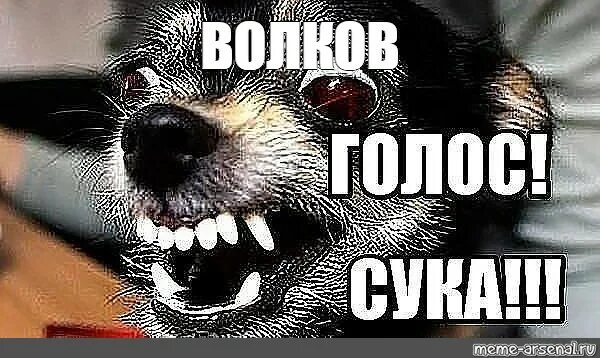 Мем я сегодня злая как собака DYING LIGHT 2 MEMES YouTube