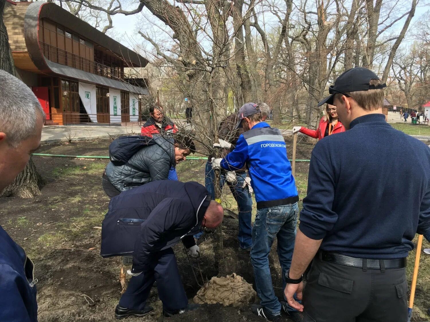 Посадили 56 деревьев 7 8