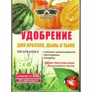 Подкормка тыквы