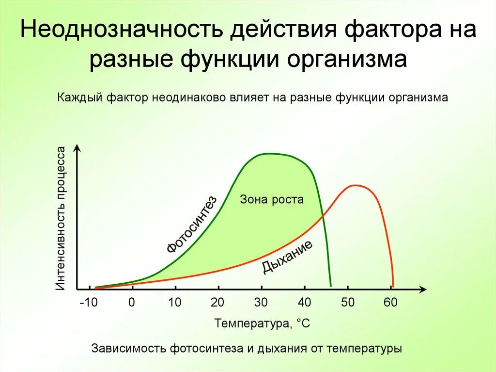 Изучить график зависимости интенсивности дыхания. Влияние температуры на фотосинтез. зависимость интенсивности фотосинтеза от температуры. факторы влияющие на фотосинтез. факторы влияющие на интенсивность дыхания растений.