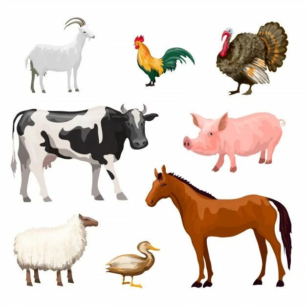 Premium Vector Flat set of domestic animals Animals, Animal quiz, Big animals