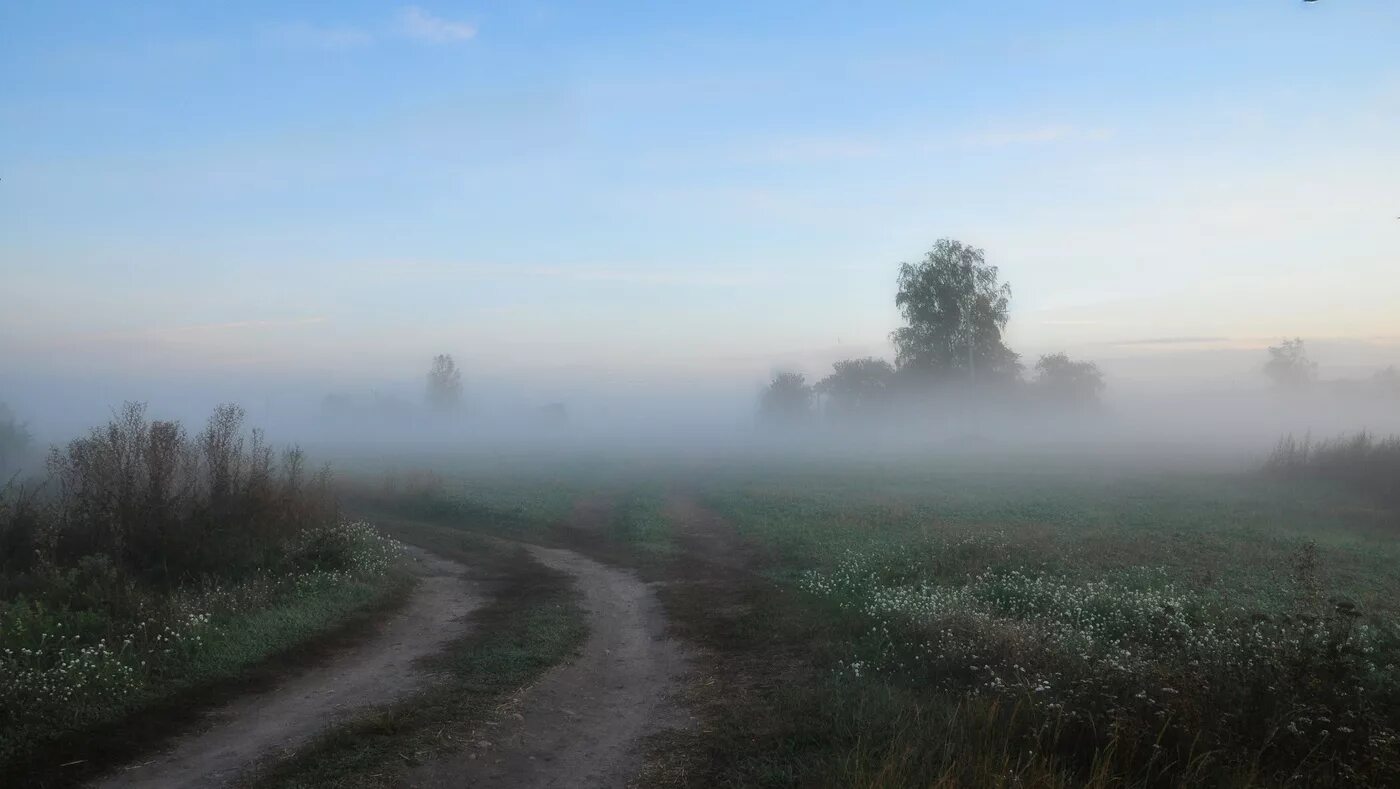 Туманное утро в деревне. Туманный пейзаж. Рассвет туман. Утро туман деревня. Утро отверстие