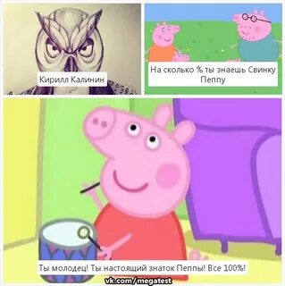 Знает свинья знают