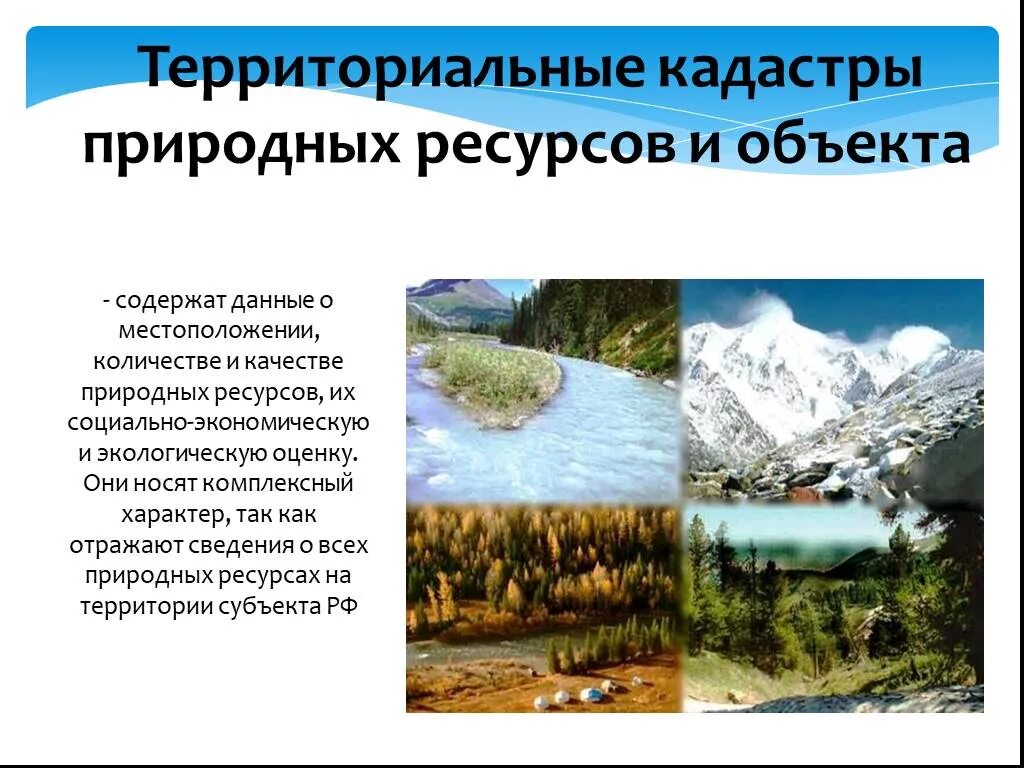 Природные ресурсы земли россии. Кадастры природных ресурсов. Территориальные кадастры природных ресурсов и объекта. Гос кадастр природных ресурсов. Кадастровая оценка природных ресурсов.