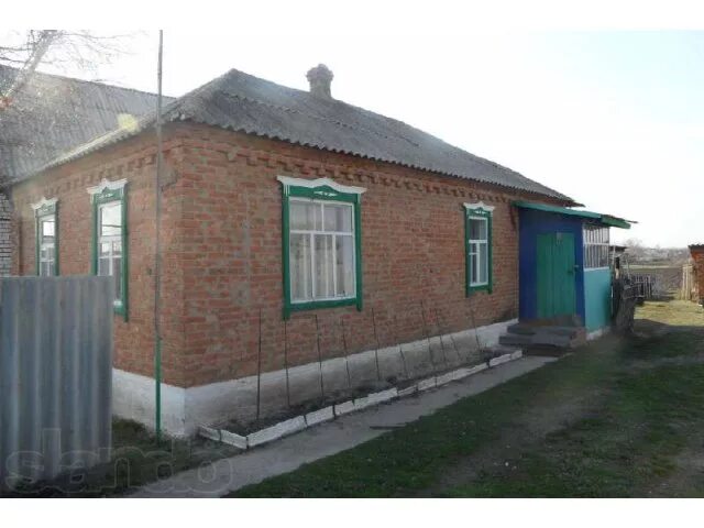 Село панино воронежская область. Прогноз погоды село новобогородицкое петропавловский воронежская. Прогноз погоды село новобогородицкое петропавловский воронежская. Погода новобогородицкое. Погода новобогородицкое.