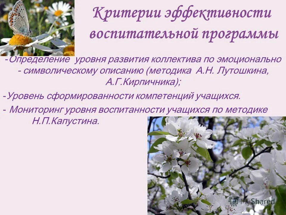 Рабочая программа воспитания классного руководителя. Рабочие программы по классному руководству. Рабочая программа воспитания классного руководителя. Направления воспитательной программы. Программа классного руководителя.