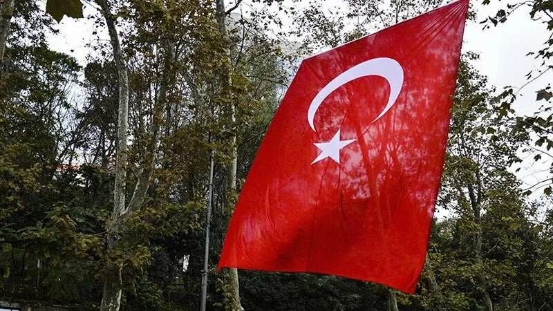 Турция и Финляндия. Турция НАТО. Турция вступила в НАТО. Турция против Швеции. Швеция против турции