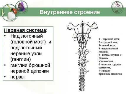 Головной узел