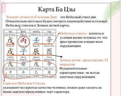 37. Начальный алгоритм чтения карты бацзы-10. 