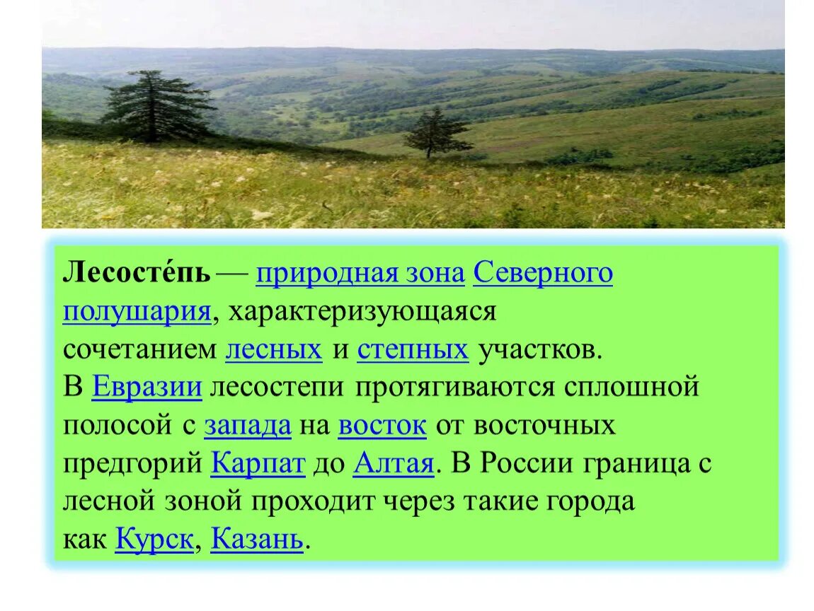 Климат степей и лесостепей в России. Лесостепь природная зона. Особенности лесостепной зоны. Зоны природы лесостепи,степи.