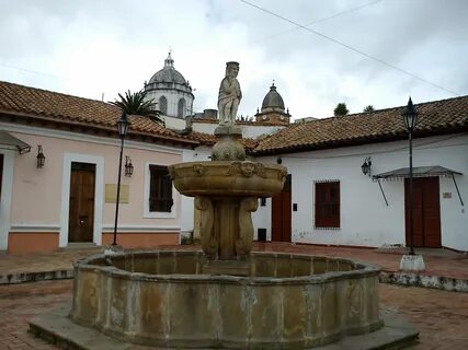 Mono de