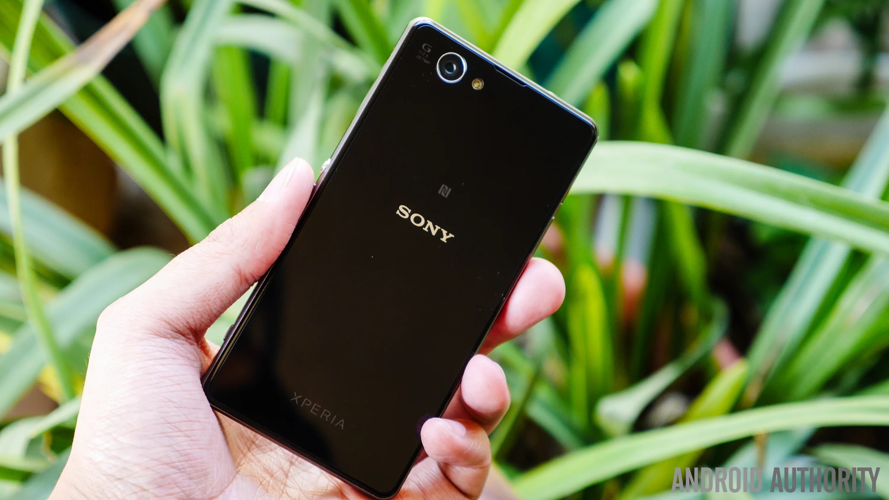 Xperia z1 Compact. Sony Xperia z1. Sony Xperia z1 Compact. Sony Xperia xz1. Xperia compact цена