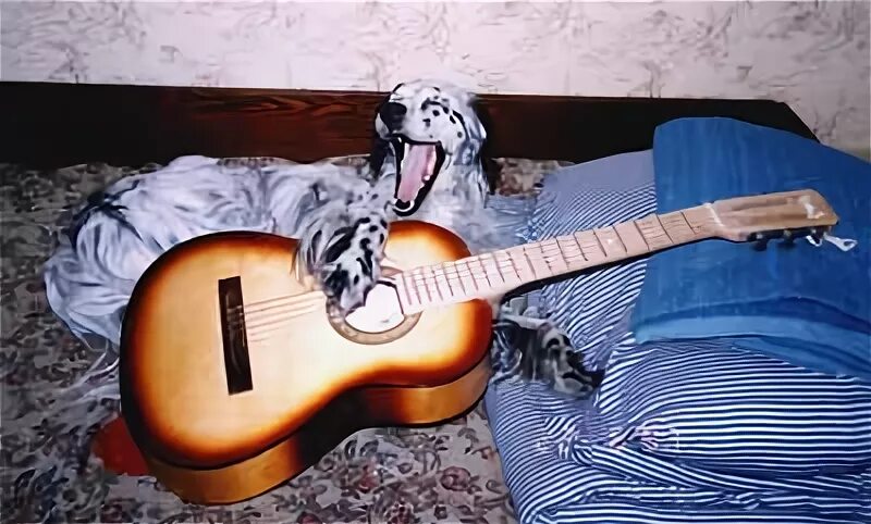 Песня мурка ты мой муреночек