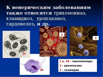 Венерич заболевания