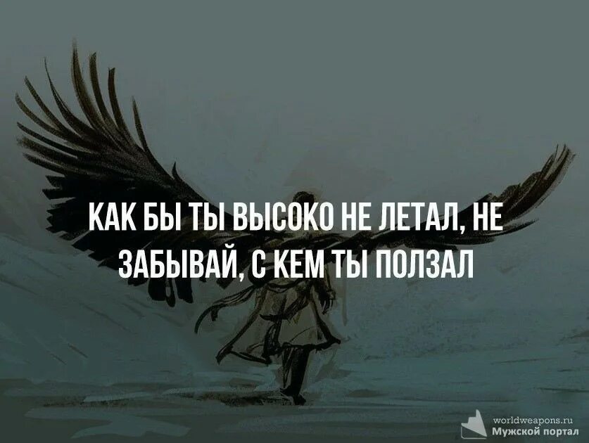 Вы совсем забыли как летать. Как БФ высоко ты не летал. Когда взлетишь не забывай с кем ползал. Как бы ты высоко не летал. Помни с кем ты ползал цитата.