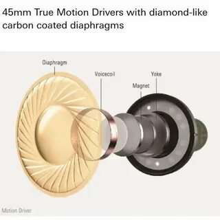 True motion