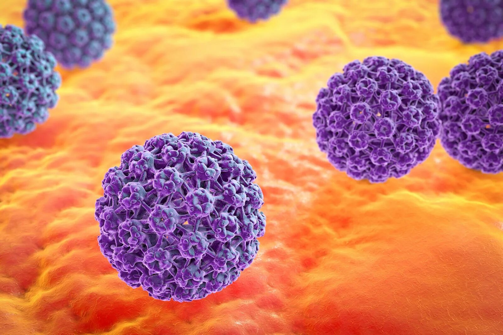 Papilloma virus. Папилломавирусная инфекция возбудитель. Папиллома папилломавирусная инфекция.