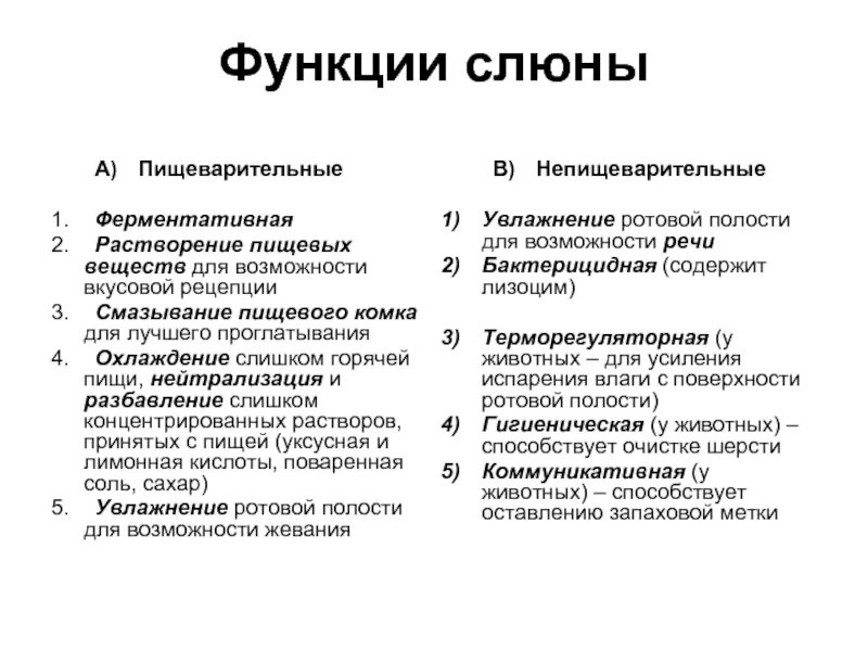 Слюноотделение функции. Пищеварительные и непищеварительные функции ротовой полости. Непищеварительные функции ротовой полости. Функции слюны. Функции ротовой полости человека.