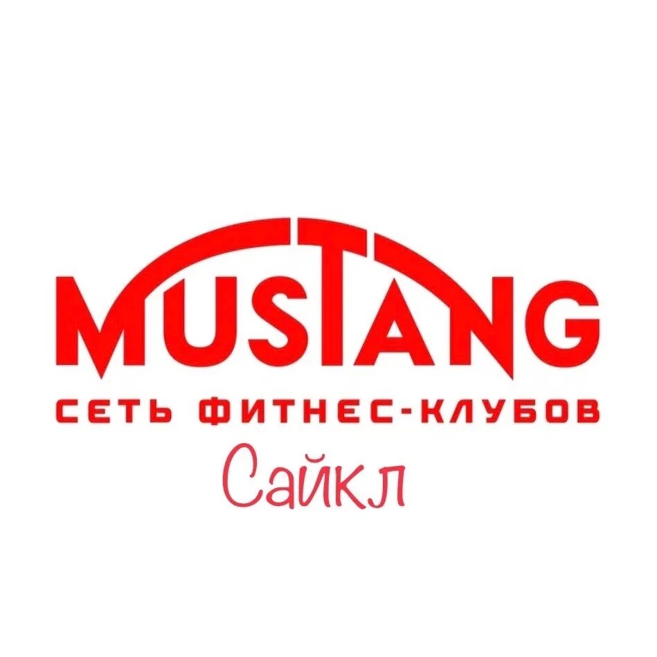 Мустанг абонемент. Мустанг салют. мустанг меридиан чебоксары. фитнес клуб мустанг новочебоксарск.