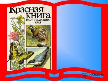 Презентация красная книга нашего края