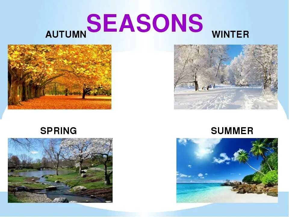 Seasons reasons. Времена года на английском языке для детей. Английский тема времена года. Зимние весенние летние осенние месяцы.