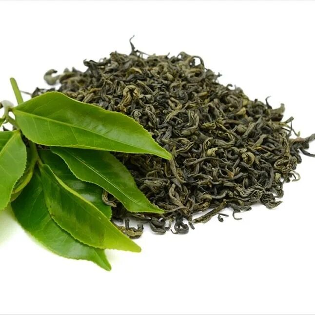 Листья чая купить. Чайный лист. Листья чая. Зеленый чай листок. Листья чайного дерева.