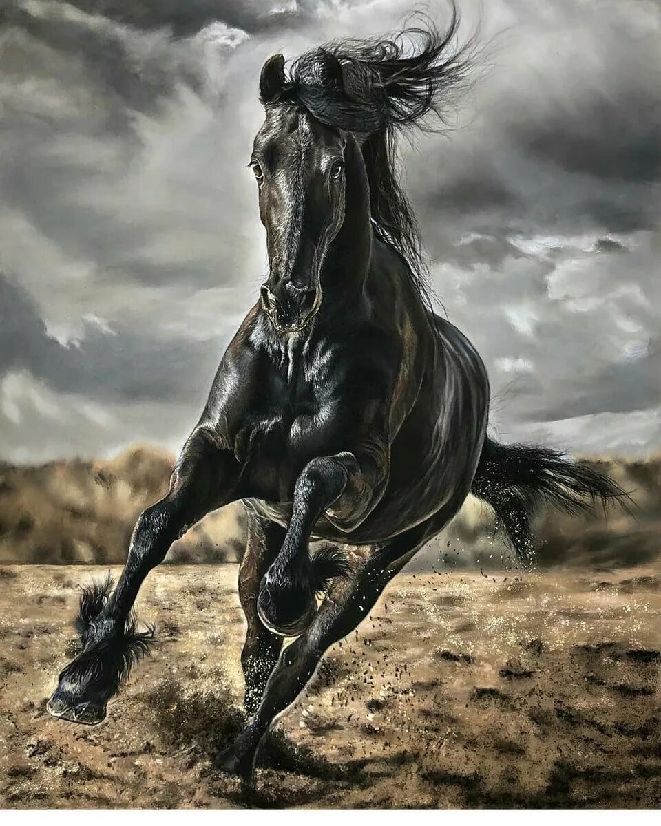 Вороной Мустанг иноходец. Вороная лошадь. Черный конь. Лошадь на дыбах.
