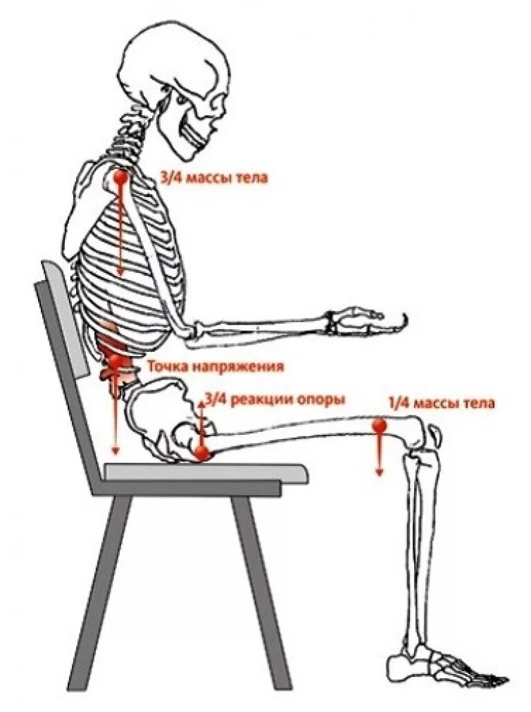Стул болит поясница. Нагрузка на позвоночник сидя. Положение сидя нагрузка на позвоночник. Позвоночник сидящего человека. Положение позвоночника в сидячем положении.