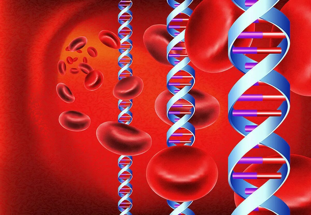 Днк blood. Молекула днк человека. Дизайн генома. Blood dna. Эритроциты днк.