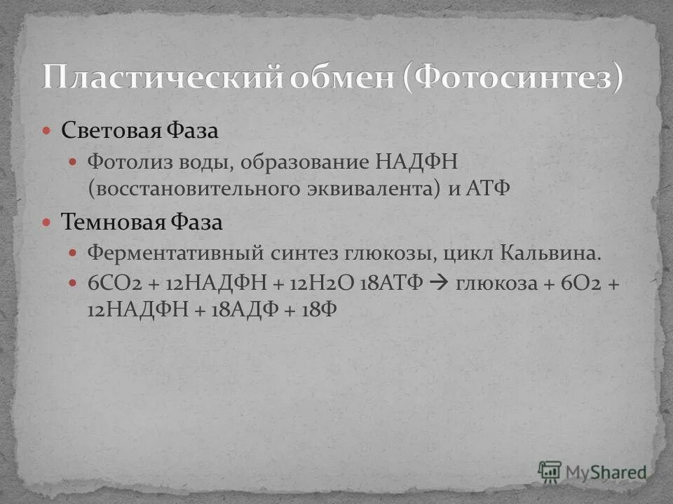 мембрана тилакоида процессы световая фаза. энергетические особенности пластического обмена. пластический обмен световая фаза. световая фаза фотосинтеза схема. биология фотосинтез 10 класс световая и темновая фаза.